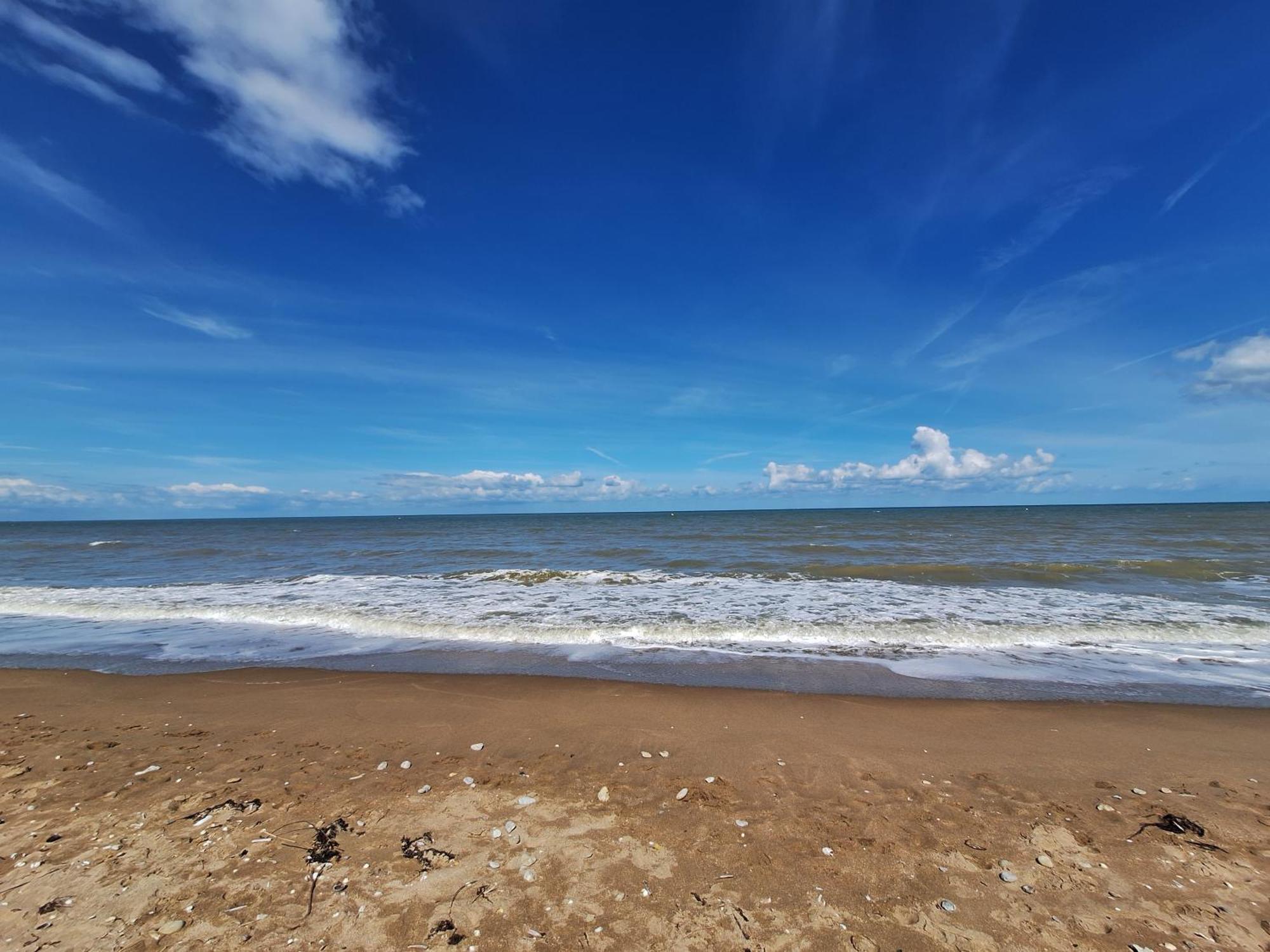 Super Deauville Appartement 2 Pieces Cosy Proche Plage Plein Sud Вилле-сюр-Мер Экстерьер фото